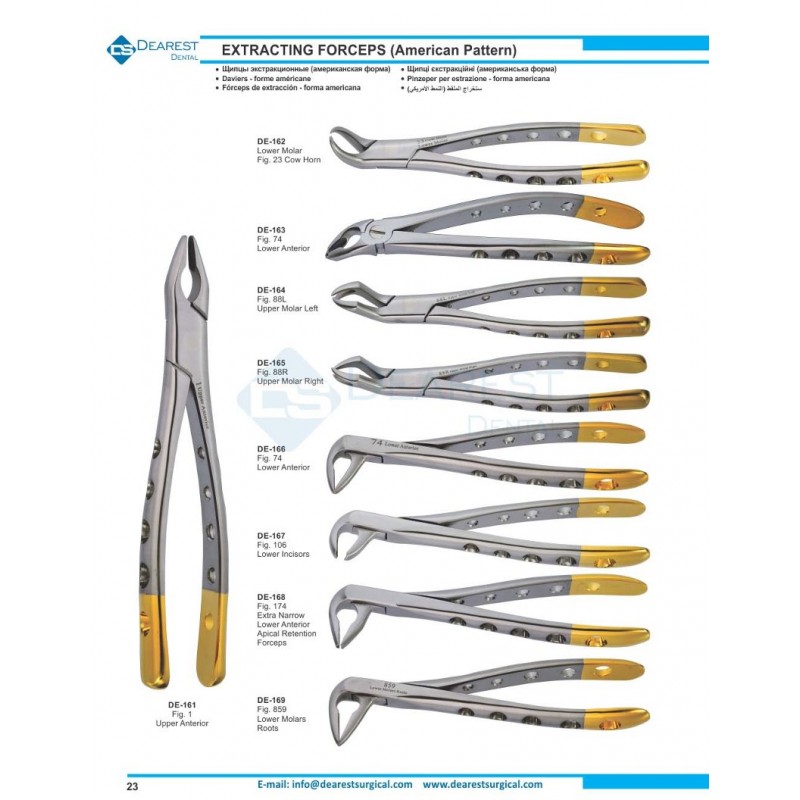 Extracting Forceps American Pattern