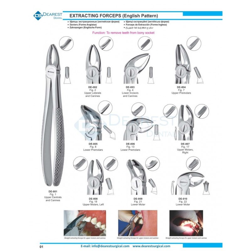 Extracting Forceps (English Pattern)