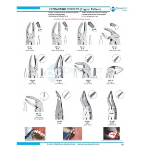 Extracting Forceps (English Pattern)