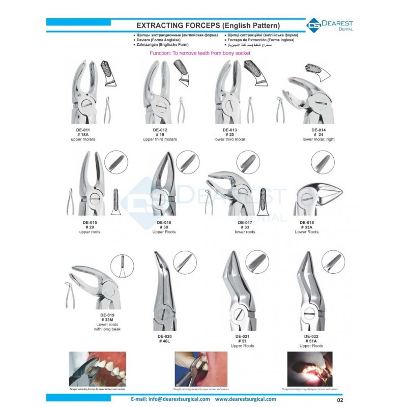 Extracting Forceps (English Pattern)