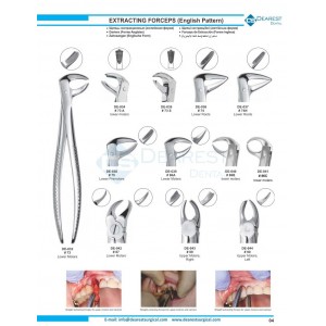 Extracting Forceps (English Pattern)