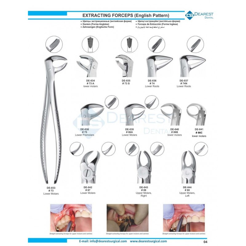 Extracting Forceps (English Pattern)