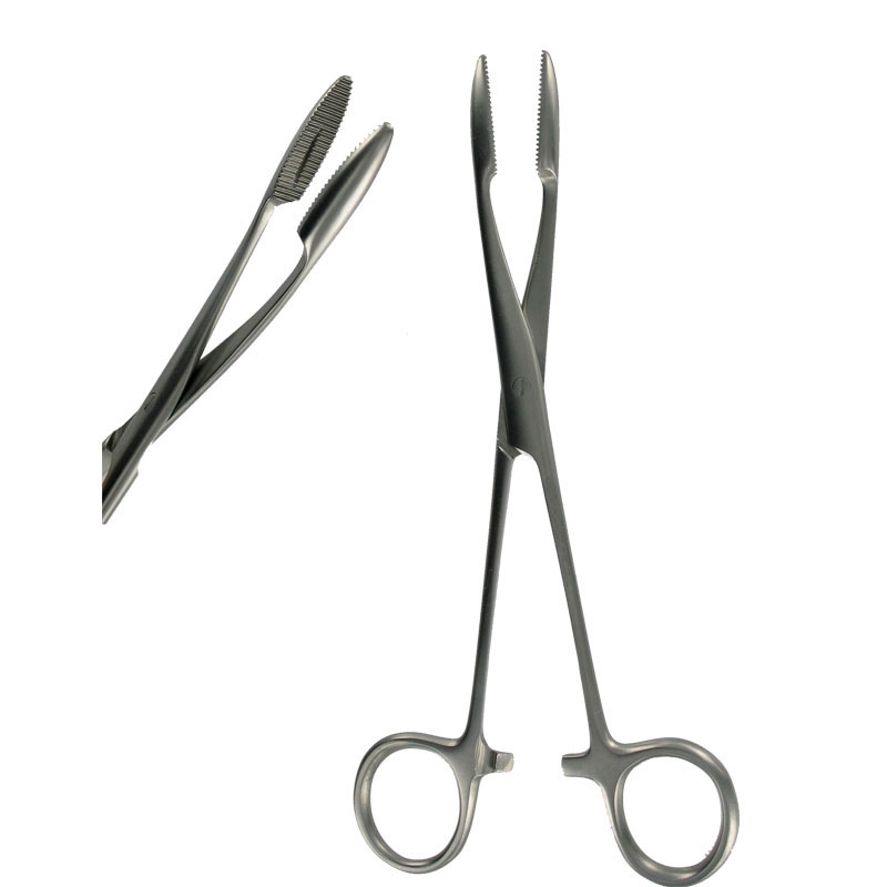 Sponge Forceps