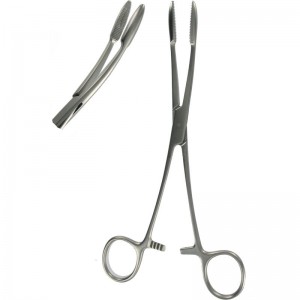 Sponge Forceps